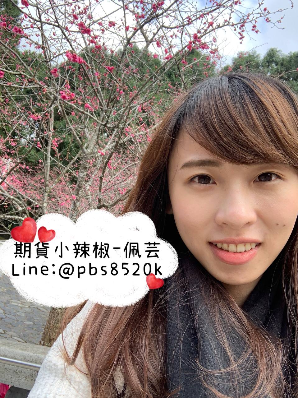 台新期貨小辣椒