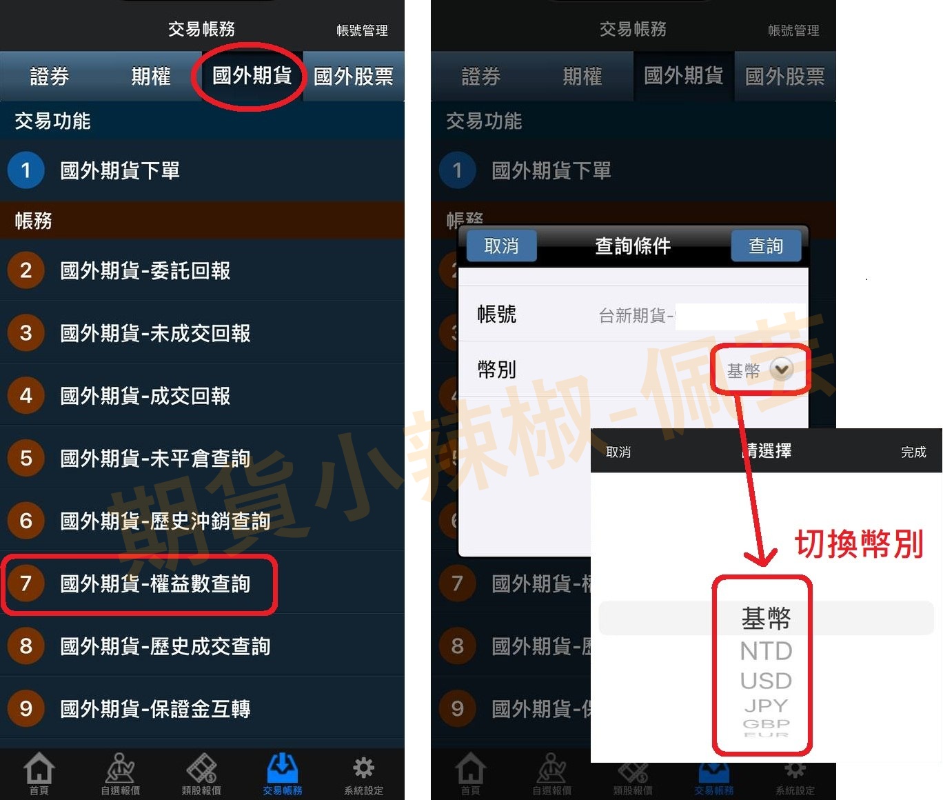 海期新手-權益數查詢